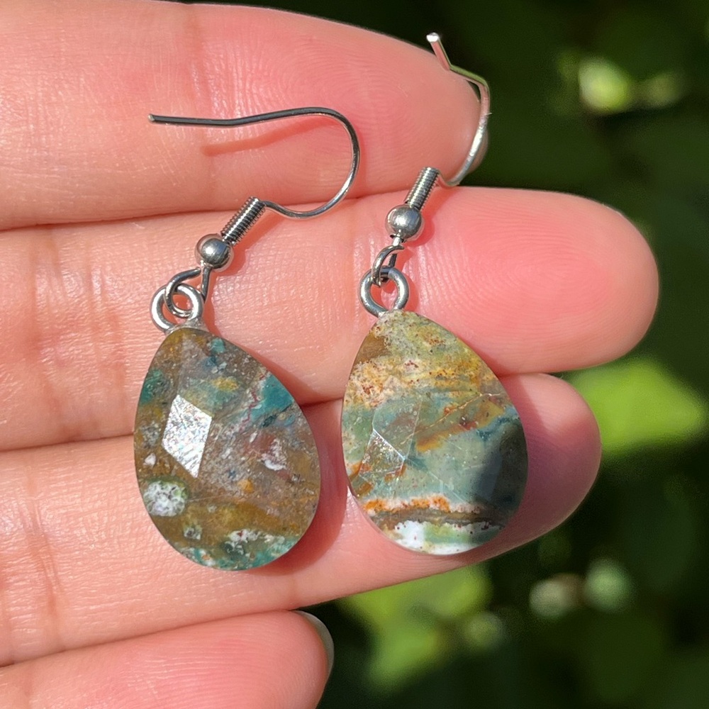Stainless steel‎ faceted bloodstone drop earrings
